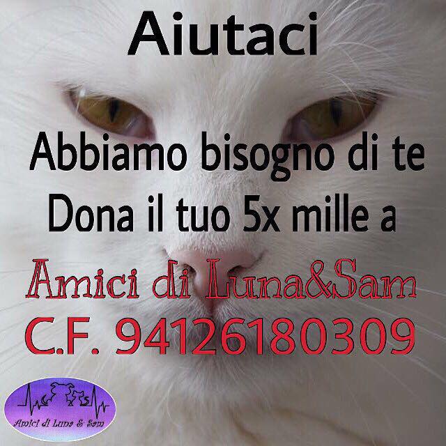 Abbiamo bisogno di te, dona il tuo 5 per mille ad Amici di Luna & Sam. CF 94126180309